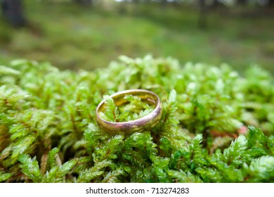 Lost Wedding Ring In Nature Moss