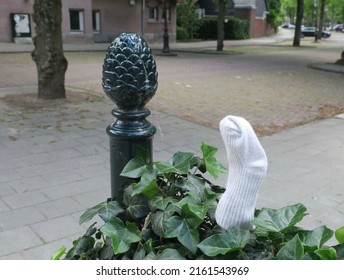 lost white baby sock put on a gate near the Vondelpark in amsterdam
