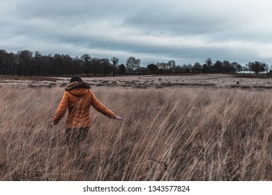 Lost in the Woods