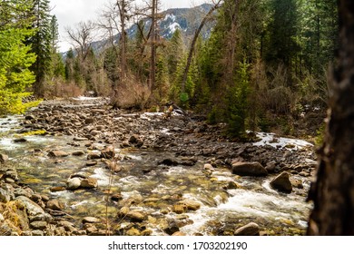 Lostine River In Oregon's Eagle Cap Wilderness