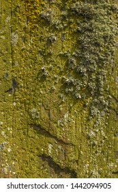 The Loth Stone At Traprain Law, East Lothian, Scotland.