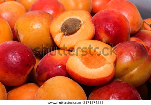 Lots of apricots. Fruit with\
a stone divided into 2 parts on the background of juicy\
apricots