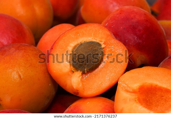 Lots of apricots. Fruit with
a stone divided into 2 parts on the background of juicy
apricots