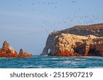 Lots of birds on Ballestas Islands national reserve, Paracas, Peru