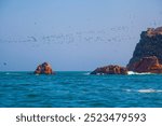 Lots of birds on Ballestas Islands national reserve, Paracas, Peru