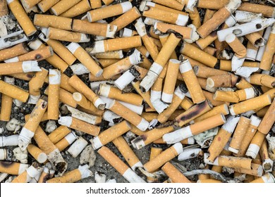 Lots Cigarette Buds Large Ash Tray Stock Photo 286971083 | Shutterstock