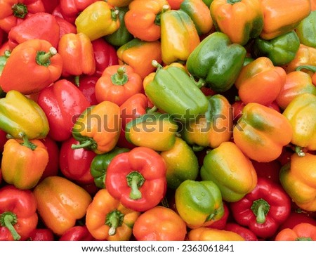 Lots of colorful bell peppers close up.