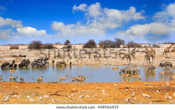 Lots of\
different animals including, giraffe, kudu, zebra, and impala\
around a vibrant waterhole in Etosha National Park  with a bright\
blue cloudy sky, Namibia, Southern\
Africa
