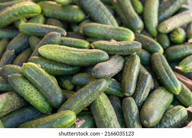 114,960 Cucumbers market Images, Stock Photos & Vectors | Shutterstock