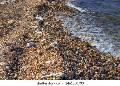 226 Tainting Coast Images, Stock Photos & Vectors | Shutterstock