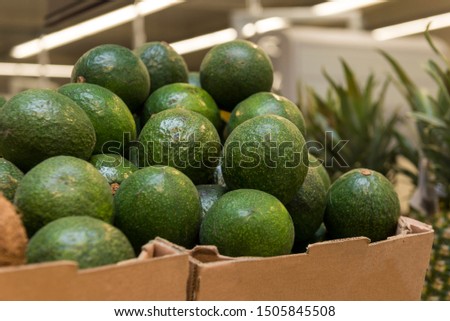 lots of green fresh avocados in a box on the counter in the store,