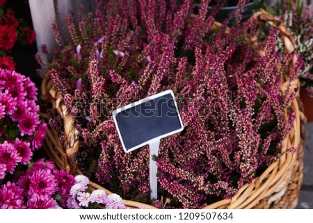 Lots of heather flower in the basket with the chrysanthemum flowers at the seasonal autumn market. Blank price tag