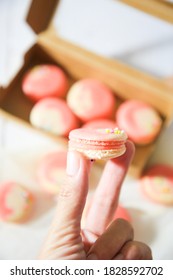Lots of macarons placed on a plain background.
