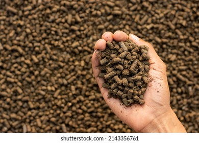 Lots Of Manure Or Pellets In The Hands Of A Farmer.