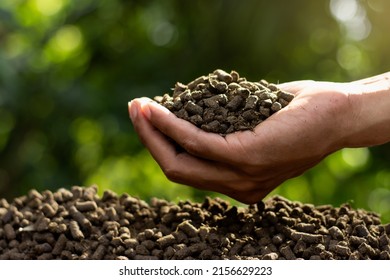 Lots Of Manure Or Pellets In The Hands Of A Farmer.