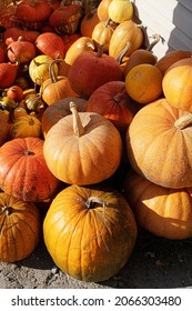 Lots of Pumpkins in the Farm Market. Pumpkin Pile of Fairytale, Cinderella and Jack-be-little. Close-up. Pumpkin Background. High quality photo