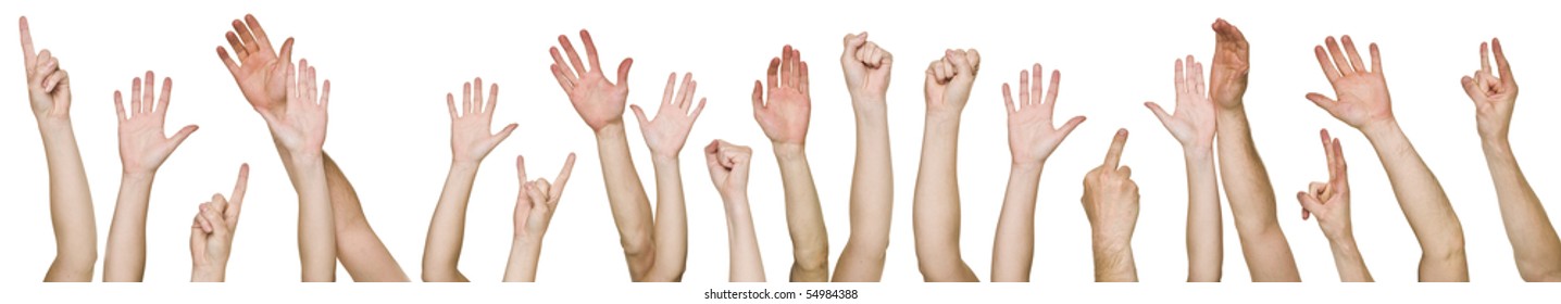 Lots of raised hands isolated on white background - Powered by Shutterstock