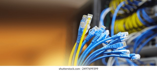 Lots of RJ45 UTP Cat6 LAN internet network cable fiber optic and Ethernet cables for computer data link connect cloud computing server networking devices system switch wifi or hub router.
