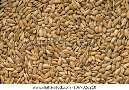 lots of seeds pattern background macro.