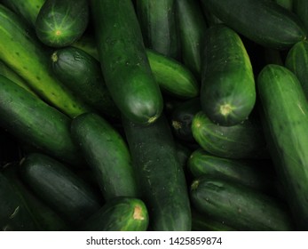 Lots Of Several Fresh Green Crisp Cucumbers 