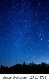 Lots Of Stars Showing In The Night Sky Over A Forested Area In The UK.