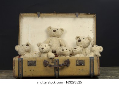 lots of teddy bears