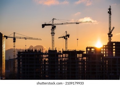 Lots Of Tower Cranes Build High-rise Residential Building In Evening Time. Steel Frame Structure In Sunlight. Industrial Background With Sun Flare. Yellow Sunset Sky.