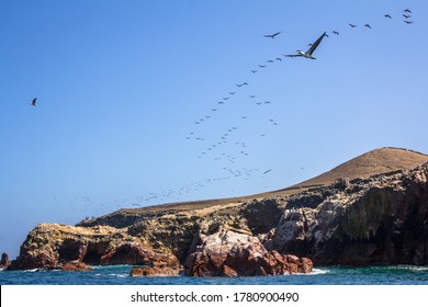 Lots Of Wild Birds, Seagulls And Pelicans In Synchronized Flying Behavior Over Ballestas Island. Famous Destination For Boat Ride Tourism In Paracas, A Natural Environment Reserve In Peru.