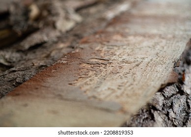 Lots of wooden planks in a sawmill from noble material photographed close up macro - Shutterstock ID 2208819353
