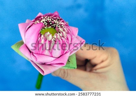Lotus is compared to the cycle of birth, death and rebirth. Lotus flower is the symbol of human growth and development.