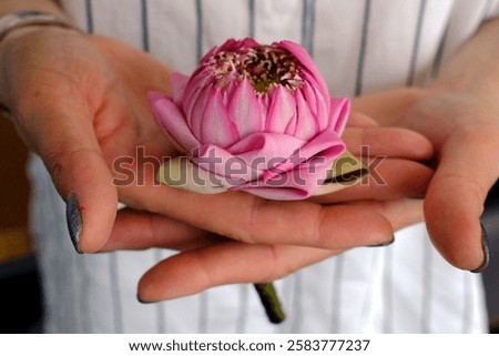 Lotus is compared to the cycle of birth, death and rebirth. Lotus flower is the symbol of human growth and development.