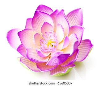 Lotus flower - Powered by Shutterstock