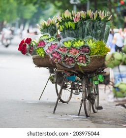 Lotus Flower On Bicycle Of Street Vendor In Hanoi, Vietnam