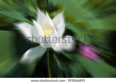 Similar – Image, Stock Photo a glimpse of spring