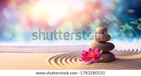 Lotus Flower With Spa Stones In Rock Garden
