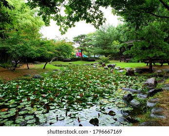 Lotus Garden In Damyang County (Damyang, South Korea)