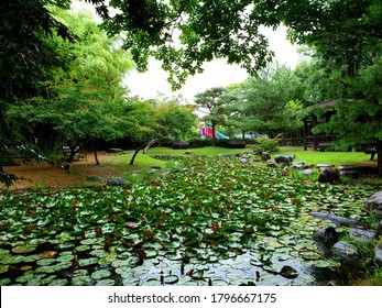 Lotus Garden In Damyang County (Damyang, South Korea)