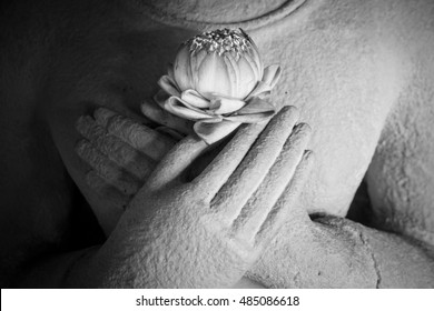 Lotus In The Hands Of Sandstone Buddha.Black And White.