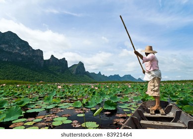 lotus lake at khao samroiyod national park, thailand