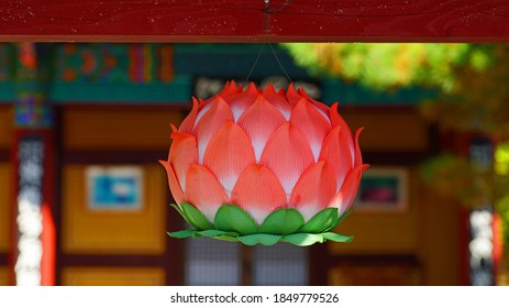 A  Lotus Lantern Hanging From A Door