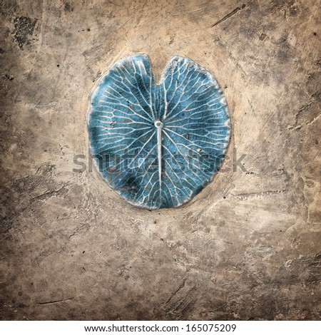 Similar – Close-up of a man’s hand holding a dried leaf of quercus