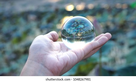 4,772 Crystal ball in leaves Images, Stock Photos & Vectors | Shutterstock