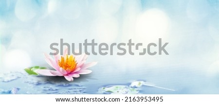 Lotus on water and soft blur bokeh reflection on panorama pastel dream color background, White lily water flower on water, White lotus flower refers to purity of mind and spirit in Buddhism