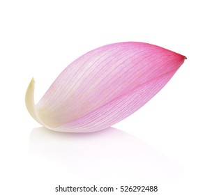 Lotus Petal On White Background