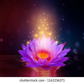 151,928 Purple Lotus Flower Images, Stock Photos & Vectors | Shutterstock