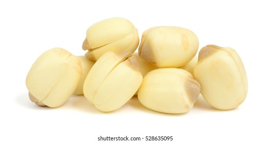 Lotus seed Isolated on the white background