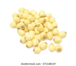 Lotus seed Isolated on the white background