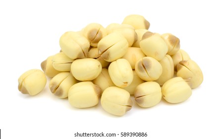 Lotus seed Isolated on the white background