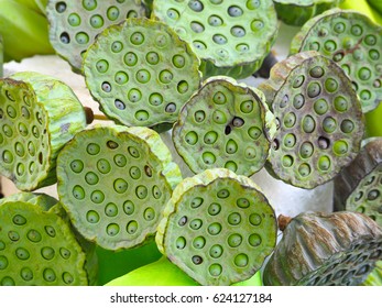 9,963 Lotus seed pod Images, Stock Photos & Vectors | Shutterstock