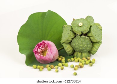 Lotus seeds or lotus seeds have properties medicine.